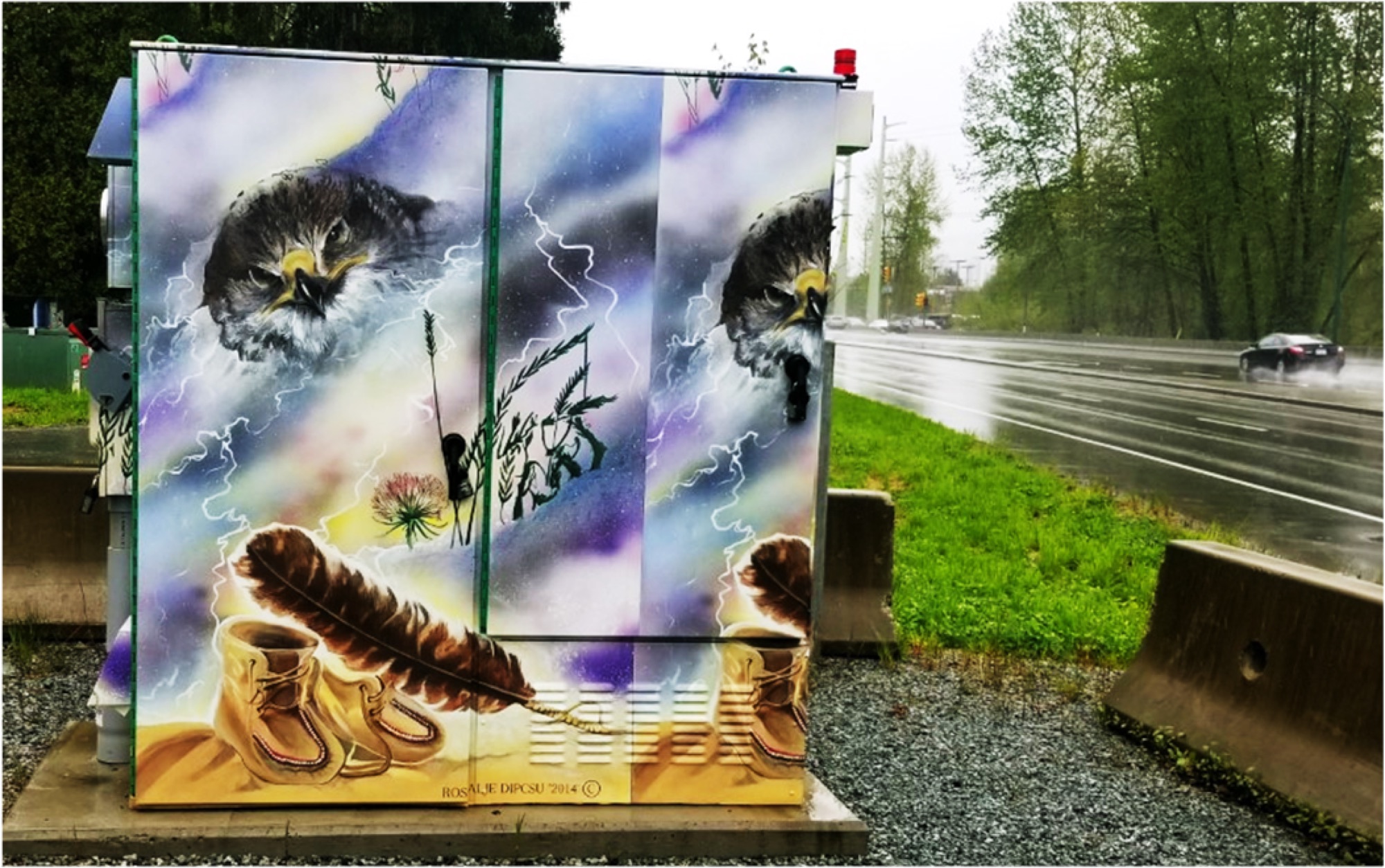 Hawk, lightning, feather and moccasins on the second generator box