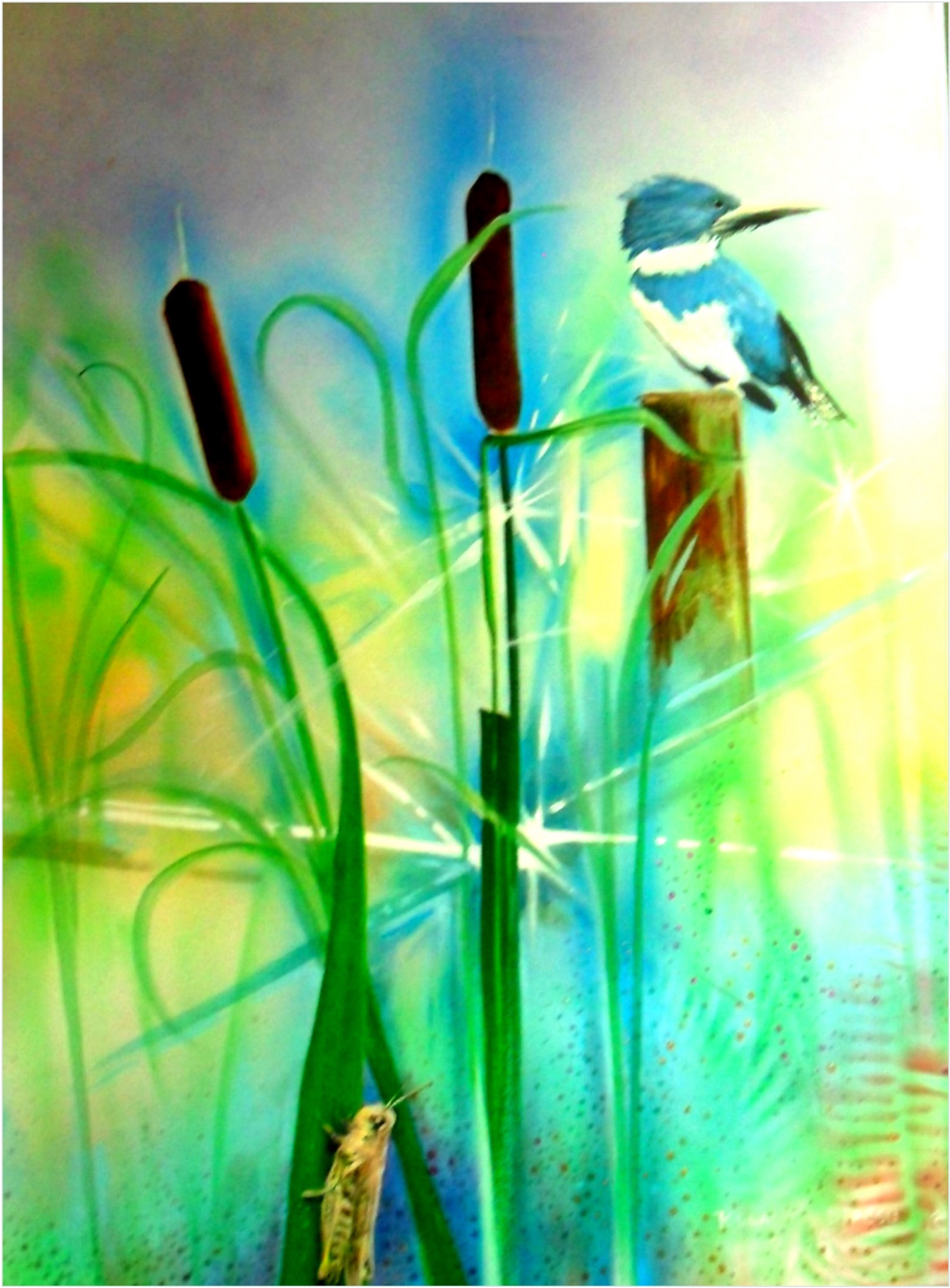 Belted kingfisher on a post among cattails, a grasshopper below